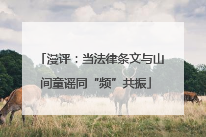 漫评：当法律条文与山间童谣同“频”共振
