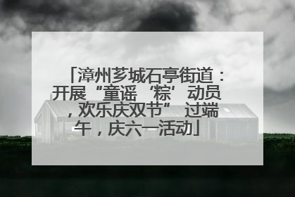 漳州芗城石亭街道：开展“童谣‘粽’动员，欢乐庆双节” 过端午，庆六一活动