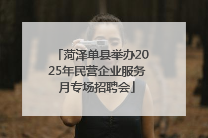 菏泽单县举办2025年民营企业服务月专场招聘会