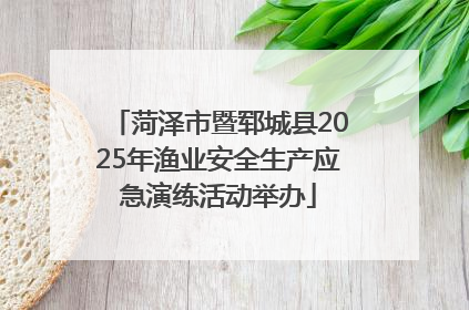 菏泽市暨郓城县2025年渔业安全生产应急演练活动举办