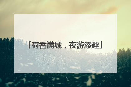 荷香满城，夜游添趣