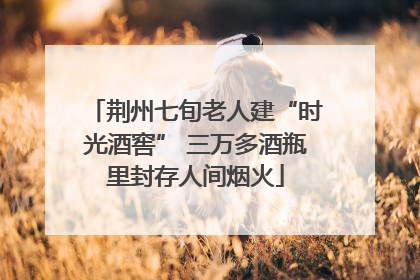 荆州七旬老人建“时光酒窖” 三万多酒瓶里封存人间烟火