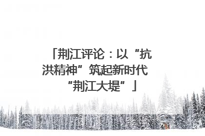 荆江评论：以“抗洪精神”筑起新时代“荆江大堤”