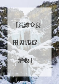 荒滩变良田 甜瓜促增收