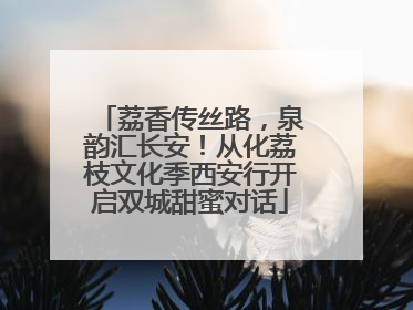 荔香传丝路，泉韵汇长安！从化荔枝文化季西安行开启双城甜蜜对话