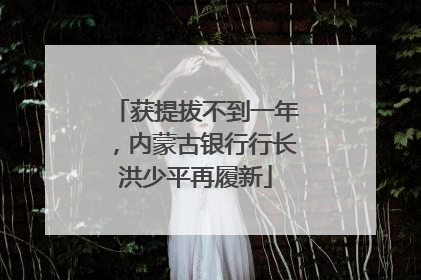 获提拔不到一年，内蒙古银行行长洪少平再履新