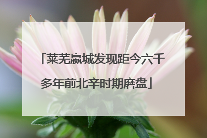 莱芜嬴城发现距今六千多年前北辛时期磨盘