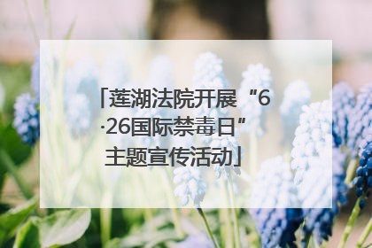 莲湖法院开展“6·26国际禁毒日”主题宣传活动