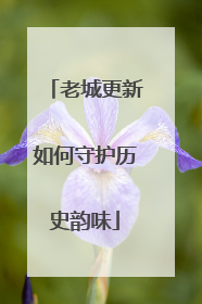 老城更新如何守护历史韵味