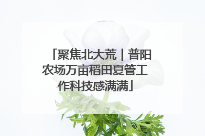 聚焦北大荒｜普阳农场万亩稻田夏管工作科技感满满