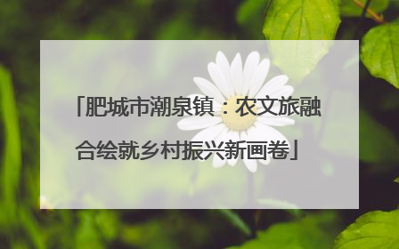 肥城市潮泉镇：农文旅融合绘就乡村振兴新画卷