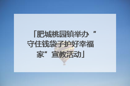 肥城桃园镇举办“守住钱袋子护好幸福家”宣教活动