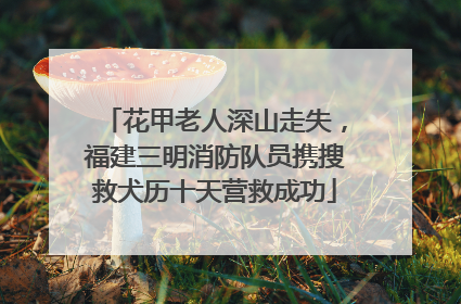 花甲老人深山走失，福建三明消防队员携搜救犬历十天营救成功