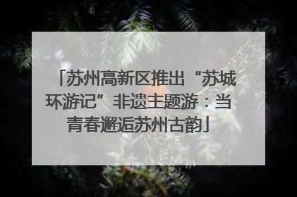 苏州高新区推出“苏城环游记”非遗主题游：当青春邂逅苏州古韵