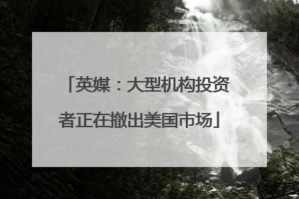 英媒：大型机构投资者正在撤出美国市场