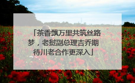 茶香飘万里共筑丝路梦，老挝副总理吉乔期待川老合作更深入