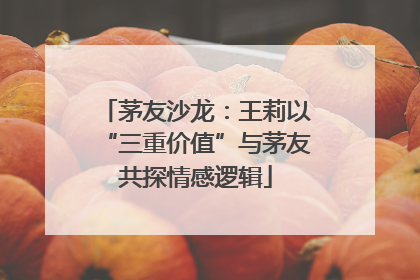 茅友沙龙：王莉以“三重价值”与茅友共探情感逻辑