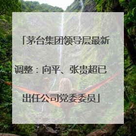 茅台集团领导层最新调整：向平、张贵超已出任公司党委委员