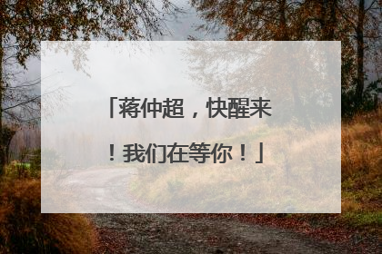 蒋仲超，快醒来！我们在等你！