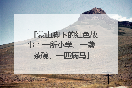 蒙山脚下的红色故事：一所小学、一盏茶碗、一匹病马