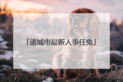 诸城市最新人事任免