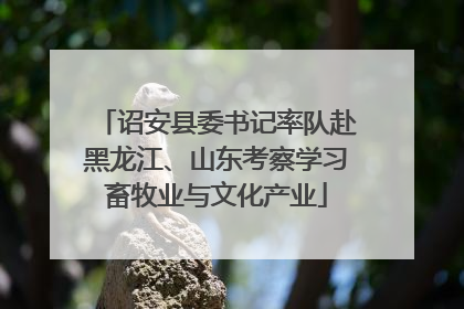 诏安县委书记率队赴黑龙江、山东考察学习畜牧业与文化产业