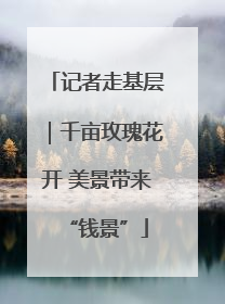 记者走基层｜千亩玫瑰花开 美景带来“钱景”