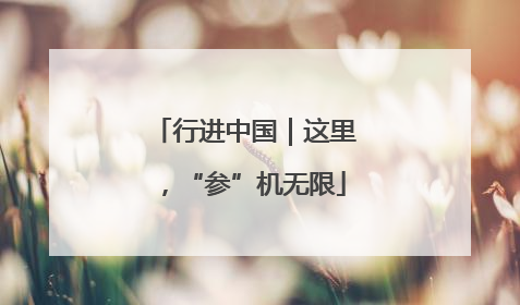 行进中国｜这里，“参”机无限