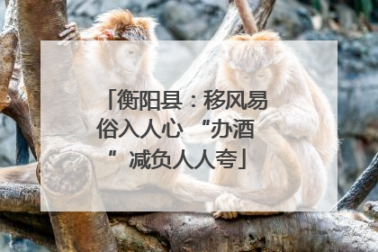 衡阳县：移风易俗入人心 “办酒”减负人人夸