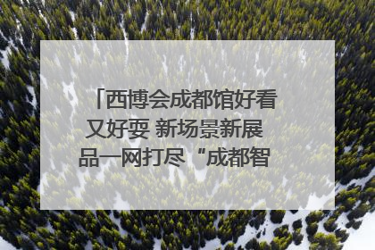 西博会成都馆好看又好耍 新场景新展品一网打尽“成都智造”｜西博视界