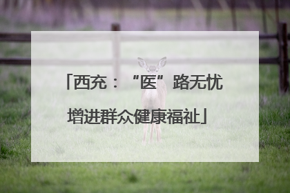 西充：“医”路无忧 增进群众健康福祉
