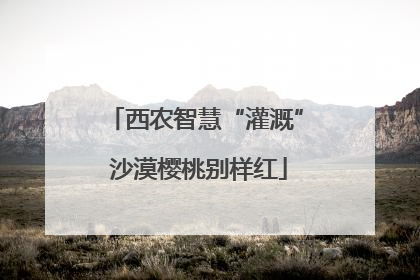 西农智慧“灌溉” 沙漠樱桃别样红