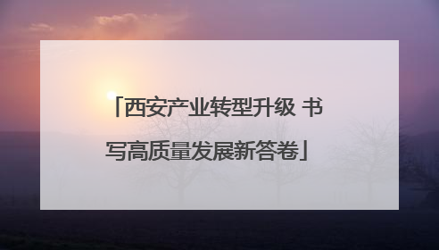西安产业转型升级 书写高质量发展新答卷