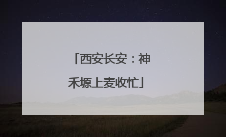 西安长安：神禾塬上麦收忙