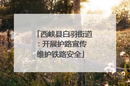 西峡县白羽街道：开展护路宣传 维护铁路安全