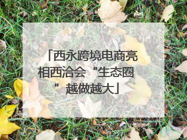 西永跨境电商亮相西洽会“生态圈”越做越大