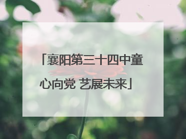 襄阳第三十四中童心向党 艺展未来