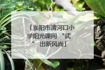 襄阳市清河口小学阳光课间 “武” 出新风尚