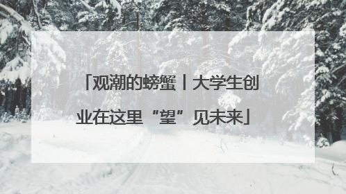观潮的螃蟹丨大学生创业在这里“望”见未来