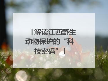 解读江西野生动物保护的“科技密码”