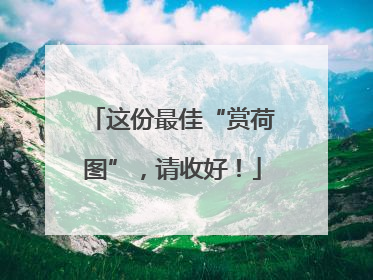 这份最佳“赏荷图”，请收好！