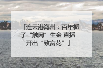 连云港海州：百年栀子“触网”生金 直播开出“致富花”