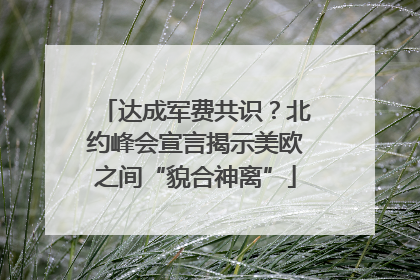 达成军费共识？北约峰会宣言揭示美欧之间“貌合神离”