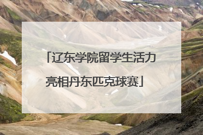 辽东学院留学生活力亮相丹东匹克球赛