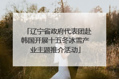 辽宁省政府代表团赴韩国开展十五冬冰雪产业主题推介活动