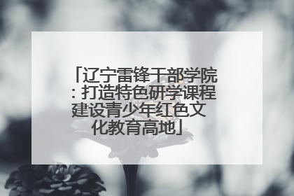 辽宁雷锋干部学院：打造特色研学课程 建设青少年红色文化教育高地