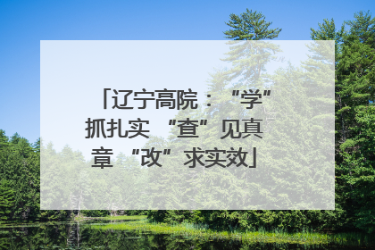 辽宁高院：“学”抓扎实 “查”见真章 “改”求实效