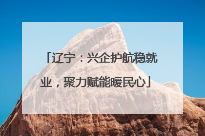 辽宁：兴企护航稳就业，聚力赋能暖民心