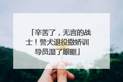 辛苦了，无言的战士！警犬退役撒娇训导员湿了眼眶