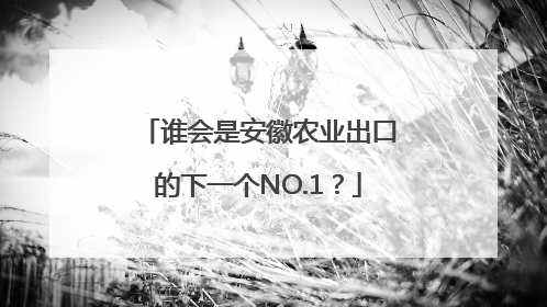 谁会是安徽农业出口的下一个NO.1？
